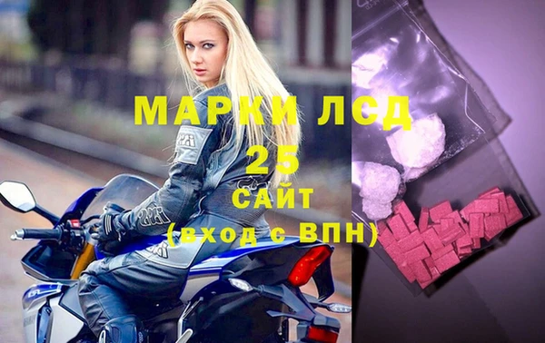 ПСИЛОЦИБИНОВЫЕ ГРИБЫ Алексин