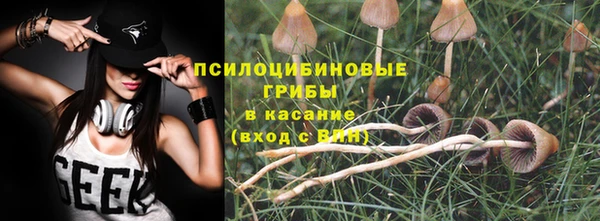 героин Алзамай