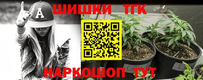 Альфа ПВП Пушкино