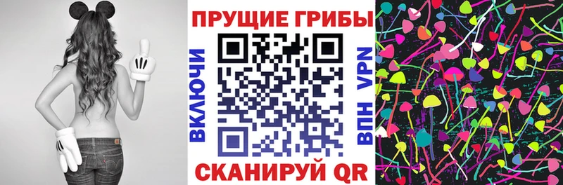 Галлюциногенные грибы прущие грибы  Ярославль 