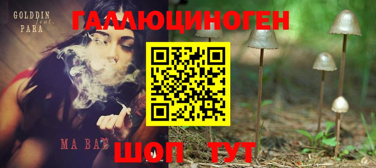 Ярославль  как найти закладки  Вход с VPN  Псилоцибиновые грибы GOLDEN TEACHER 